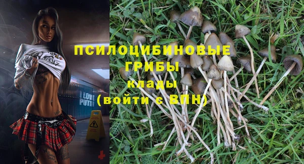 бутират Инта