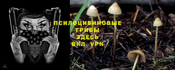 бутират Инта
