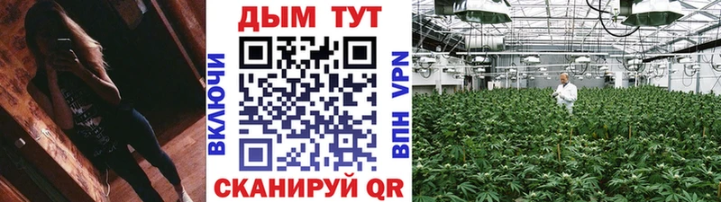 Купить закладки  Дятьково  Марихуана сатива 